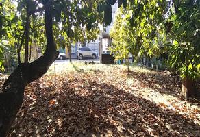 Foto de inmueble en Venta de Terreno Centrico Colonia la Piragua en Tuxtepec Oaxaca., Col. La Piragua C.P. 68310, San Juan Bautista Tuxtepec