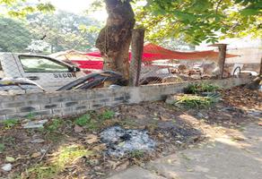 Foto de inmueble en Venta de Terreno en Calle Principal en Colonia Oaxaca en Tuxtepec Oaxaca, Col. Oaxaca C.P. 68373, San Juan Bautista Tuxtepec