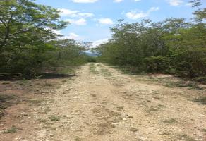 Foto de inmueble en San Pablo Etla, Col. San Gabriel Etla C.P. 68236, San Juan Bautista Guelache
