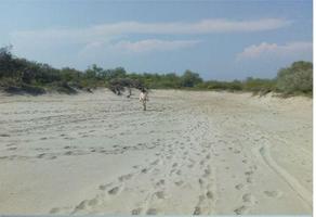 Foto de inmueble en Las  aras en san francisco Ixhutan, Col. Santa Cruz Sector A C.P. 70987, Santa María Huatulco