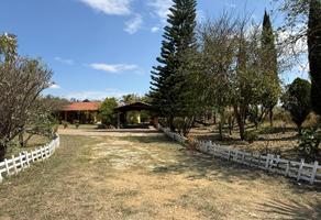 Foto de inmueble en Calle Uniòn en el Paraje "El Carrizal) Santa Maria Coyotepec, Oaxaca, Col. Santa María Coyotepec C.P. 71290, Santa María Coyotepec
