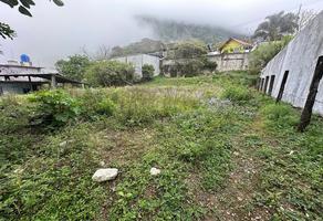 Foto de inmueble en tabacal, Col. El Tabacal C.P. 73080, Xicotepec