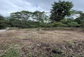 Foto de inmueble en , Col. San Isidro C.P. 73080, Xicotepec
