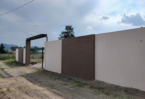 Foto de inmueble en Privada Las Ánimas, Col. San Luis C.P. 72828, San Andrés Cholula