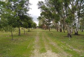 Foto de inmueble en Sin nombre de calle, Col. Galindillo C.P. 76860, Amealco de Bonfil