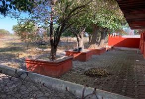 Foto de inmueble en conocido, Col. Quintanares C.P. 76724, Pedro Escobedo