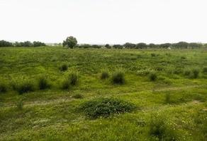 Foto de inmueble en M296+X55 Santa Rosa de Lima, Querétaro, Col. Santa Rosa de Lima (Santa Rosa Poblado) C.P. 76290, Colón