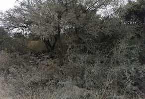 Foto de inmueble en TLACOTE EL BAJO, EL GACHUPIN #0, Col. Tlacote El Bajo C.P. 76229, Querétaro
