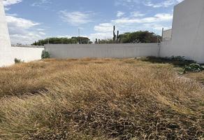 Foto de inmueble en Paseo de zinnia pte, Col. Zizana C.P. 76269, El Marqués