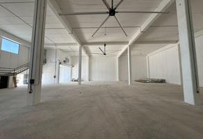 Foto de inmueble en Renta Bodega EN Infinity Park Cancun, Col. Cancún (Internacional de Cancún) C.P. 77569, Benito Juárez