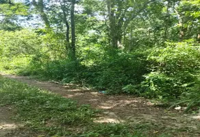 Foto de inmueble en Sin nombre de calle, Col. Chumpon C.P. 77130, Felipe Carrillo Puerto