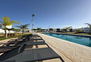 Foto de inmueble en AV.huaycan, Col. Paraíso Cancún C.P. 77536, Benito Juárez