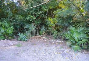 Foto de inmueble en Ejido, Col. Playa Car Fase II C.P. 77717, Solidaridad