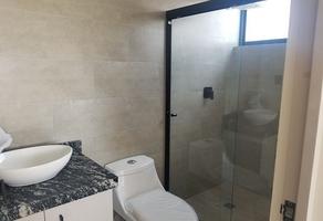 Foto de inmueble en Alamitos, Col. Alamitos C.P. 78280, San Luis Potosí