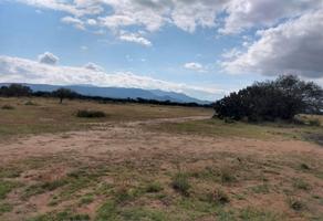 Foto de inmueble en , Col. Laguna de San Vicente C.P. 79525, Villa de Reyes
