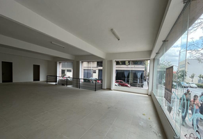 Foto de inmueble en Avenida Carranza, Col. San Luis Potosí Centro C.P. 78000, San Luis Potosí