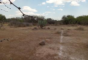 Foto de inmueble en Av Chihuahua, Col. San Marcos Carmona C.P. 78483, Mexquitic de Carmona