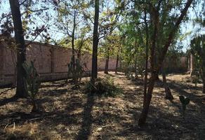 Foto de inmueble en , Col. Santa María del Río Centro C.P. 79560, Santa María del Río