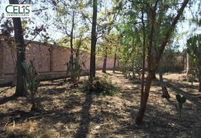 Foto de inmueble en Terreno en Venta en Santa María del Rio / Centro, Col. Santa María del Río Centro C.P. 79560, Santa María del Río
