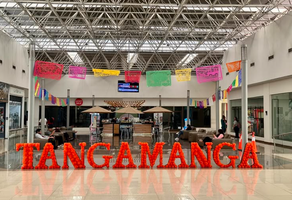 Foto de inmueble en Manuel Clouthier, Col. Tangamanga C.P. 78269, San Luis Potosí