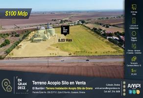 Foto de inmueble en Parcela Ejidal #259, Col. El Burrión C.P. 81149, Guasave