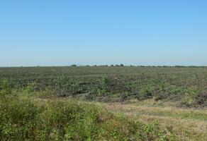Foto de inmueble en Rancho por Las Prietas, Altamira, Col. Altamira C.P. 89607, Altamira