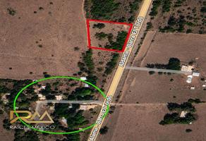 Foto de inmueble en Terreno EN Venta Aldama, Col. Barra del Tordo C.P. 89676, Aldama