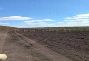 Foto de inmueble en Rancho en Ejido Gonzalez, Gonzalez, Col. Gonzalez C.P. 89706, González