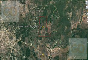 Foto de inmueble en Terreno Rustico EN Venta EN KM 24 Carr. Gonzalez-victoria, Mpio Gonzalez Tamaulipas CON  Denominacio #0, Col. Gonzalez C.P. 89706, González
