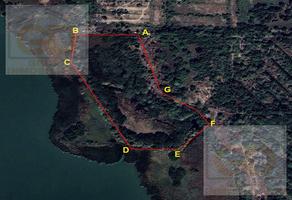 Foto de inmueble en "remate"    DE Terreno DE 5.3 HAS Especial Para USO Piscicola,  Fraccion DEL Predio Denominado " LA , Col. Las Dunas C.P. 89506, Ciudad Madero
