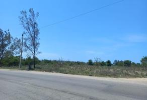 Foto de inmueble en Terreno EN Renta Y Venta Entrada AL Naturista, Sobre EL Corredor Urbano, Col. Luis Donaldo Colosio C.P. 89358, Tampico