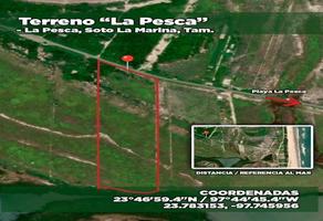 Foto de inmueble en La Pesca, Col. Miguel de La Madrid (el Canal) C.P. 87678, Soto la Marina