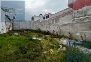 Foto de inmueble en Lote en Venta - Apizaco Centro, Tlaxcala., Col. Centro C.P. 90300, Apizaco