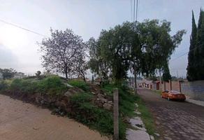 Foto de inmueble en Calz. Xicohtencatl, Col. San Esteban Tizatlan C.P. 90100, Tlaxcala