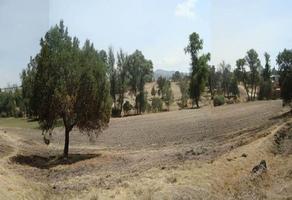 Foto de inmueble en Apizaco, Col. San Luis Apizaquito C.P. 90401, Apizaco