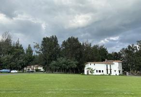 Foto de inmueble en , Col. Santa Ana Portales C.P. 90733, Tetlatlahuca