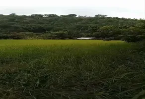 Foto de inmueble en A 10 min de Acontitla #snInt. sn, Col. Acontitla C.P. 92903, Tihuatlán