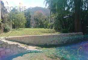Foto de inmueble en Terreno en Venta en Banderilla, Ver. Zona Centro Excelente Ubicación, Col. Banderilla Centro C.P. 91300, Banderilla