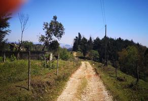 Foto de inmueble en Terreno Rustico , con Vistas Increíbles de Xalapa y Coatepec. Rodeado  de Parajes Verdes , Tiene Agu, Col. Cuauhtemoc C.P. 91611, Coatepec