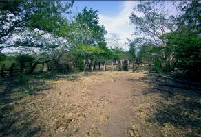 Foto de inmueble en 92042 Tampico Alto, Ver., Col. El Jobo (Escribano) C.P. 92042, Tampico Alto