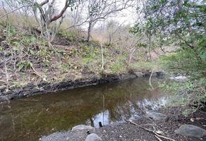 Foto de inmueble en , Col. El Palmar C.P. 91650, Puente Nacional