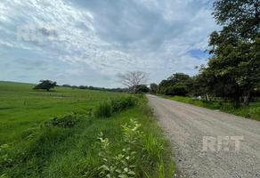 Foto de inmueble en Rancho Para Agricultura y Ganadería, Col. Garrapatas C.P. 92043, Tampico Alto