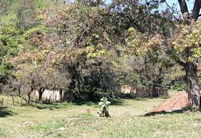 Foto de inmueble en Barranca Honda Gravilias, Col. Hacienda San Marcial C.P. 94477, Fortín