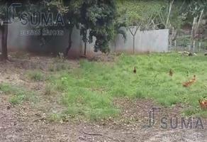 Foto de inmueble en Terreno en Venta en Calle Tabasco, Mata Redonda Veracruz., Col. Mata Redonda C.P. 92037, Pueblo Viejo