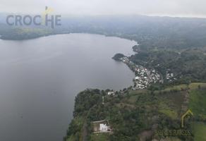 Foto de inmueble en Remate de Terreno en Catemaco Veracruz Frente a la Laguna, Col. Maxacapan C.P. 95874, Catemaco