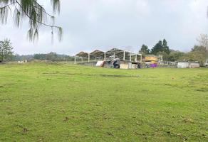 Foto de inmueble en Terreno de 5,553.71m2 en Venta en Mazatepec, Ver.  Mpio. de Acajete, Col. Mazatepec C.P. 91320, Acajete
