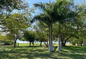 Foto de inmueble en , Col. Nuevo Sol C.P. 92770, Tuxpan