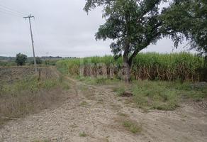 Foto de inmueble en Terreno EN Venta EN Pánuco Veracruz | Cr89 | COD 4907, Col. Panuco Centro C.P. 93990, Pánuco