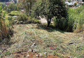 Foto de inmueble en Terreno en Venta en Xalapa Veracruz Zona San Bruno., Col. Presa de San Bruno C.P. 91023, Xalapa