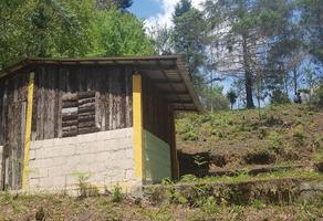 Foto de inmueble en , Col. Presa de San Bruno C.P. 91023, Xalapa